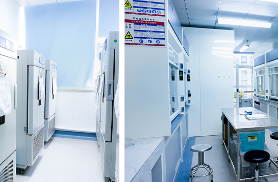 R&amp;D PLATFORM-Zitern medicine