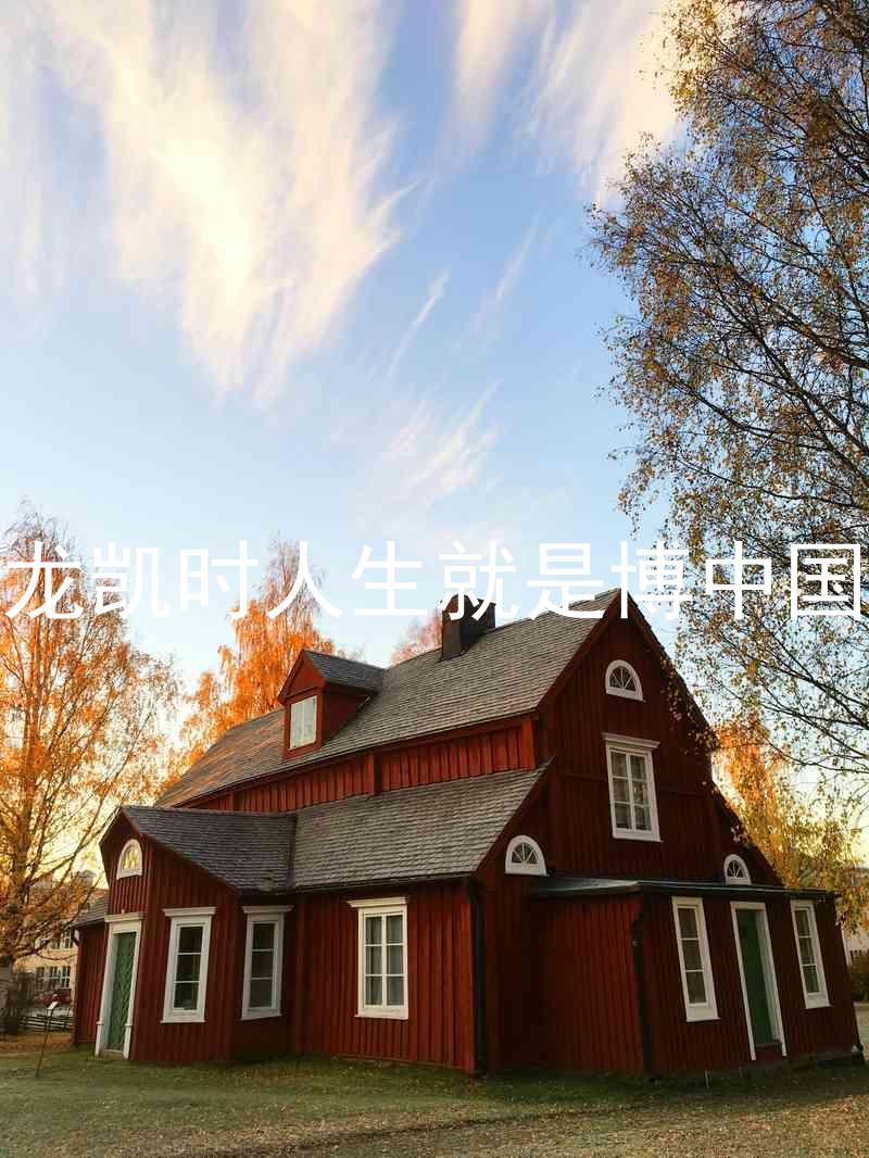 尊龙凯时人生就是博中国区