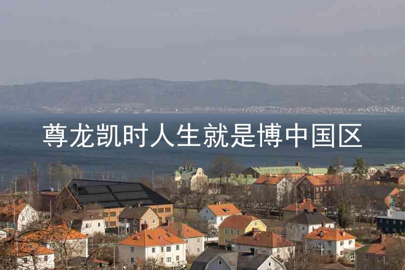 尊龙凯时人生就是博中国区