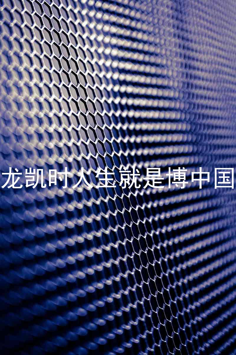 尊龙凯时人生就是博中国区